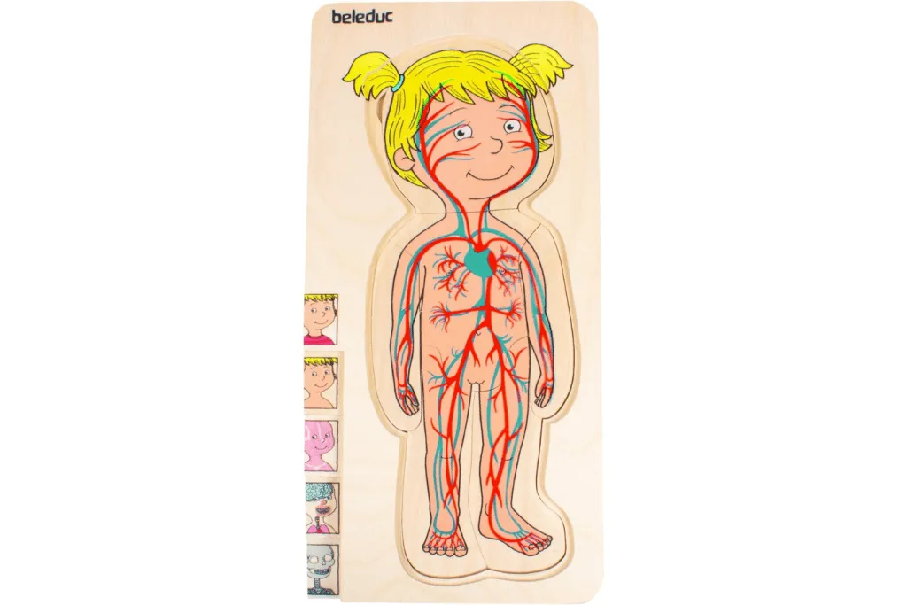 Beleduc Girl Layer Puzzle