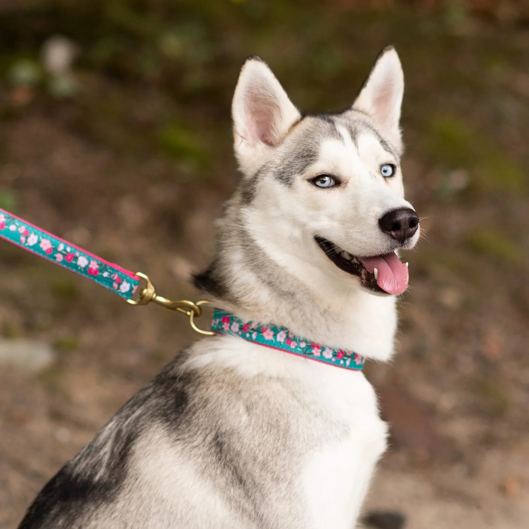 Collar | Cherry Blossom