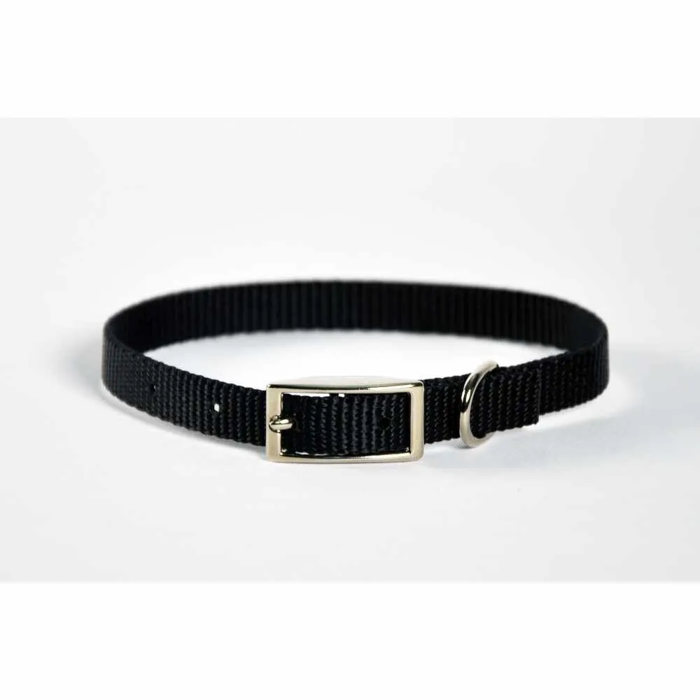 Dog Collar Skinny - 12" Hunter Green