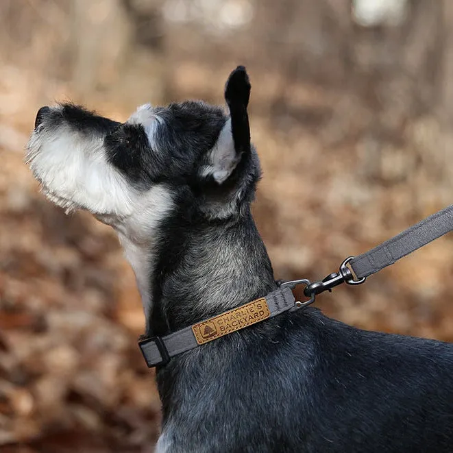 Easy Collar Gray