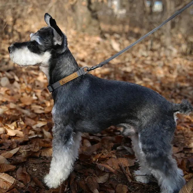 Easy Collar Gray