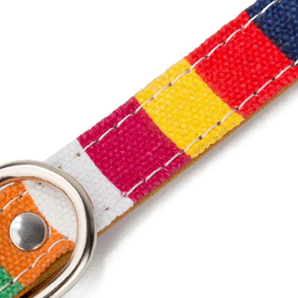 PAWS ASIA Amazon Popular Small Moq Fashion Attractive Soft Colorful Dog Collar