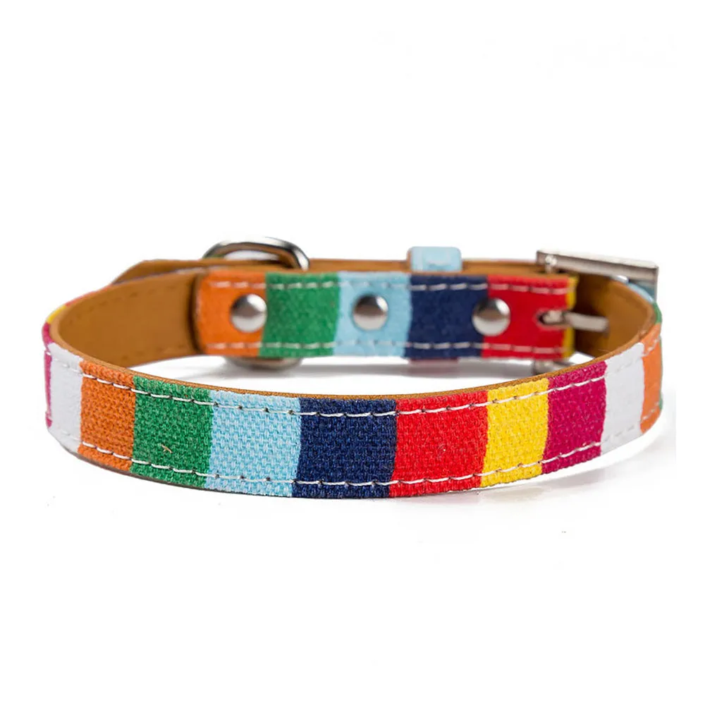 PAWS ASIA Amazon Popular Small Moq Fashion Attractive Soft Colorful Dog Collar