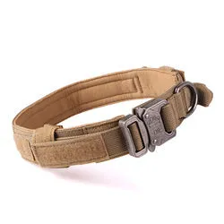 PAWS ASIA Factory Metal Buckle Padded Nylon Outdoor Training Tactical Dog Collar With Handle