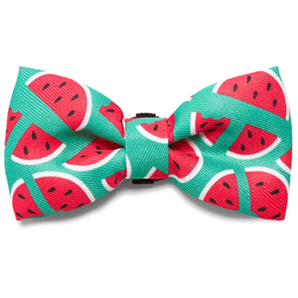 Zee.Dog Lola Bow Tie